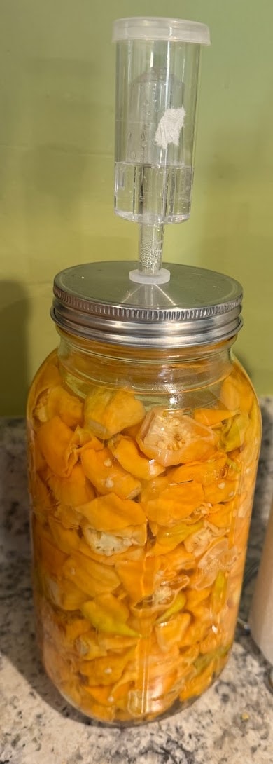 Homemade vegetables prepared for pickling